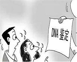 成都头发能做DNA亲子鉴定吗，匿名亲子鉴定多少钱一次